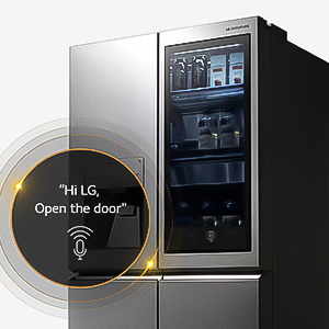 Brand: LG 24 lg refrigerator Highlights 2