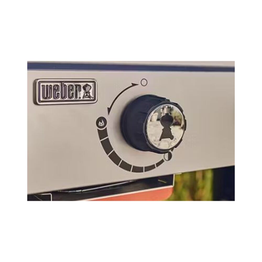 Weber-1501005-knob