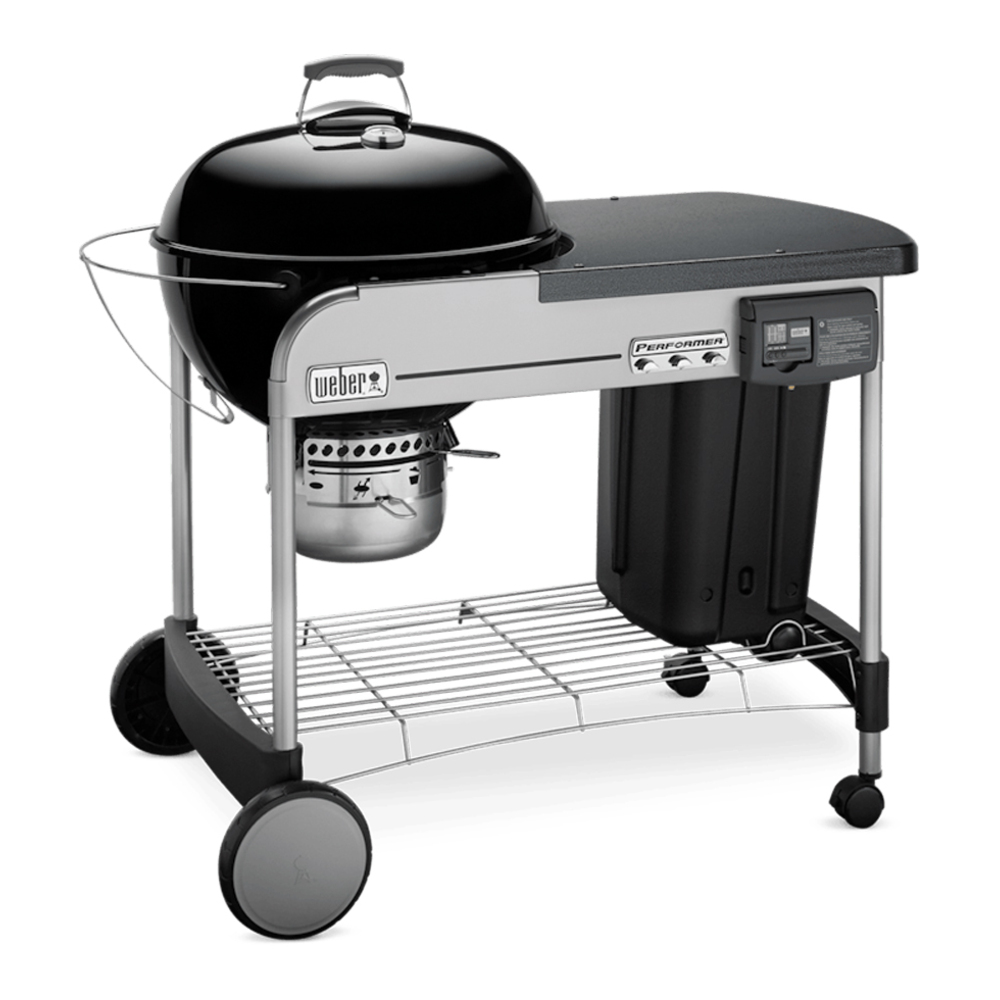 Weber-15501001-left angle view
