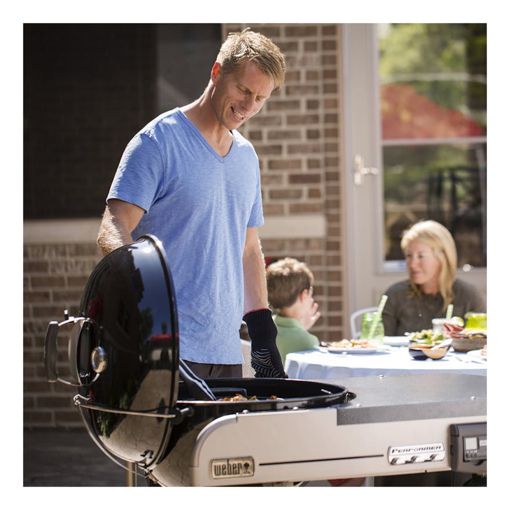 Weber-15501001-in use view