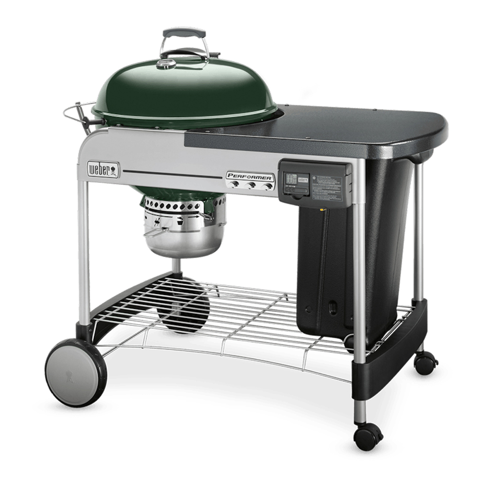 Weber-15507001-left angle view