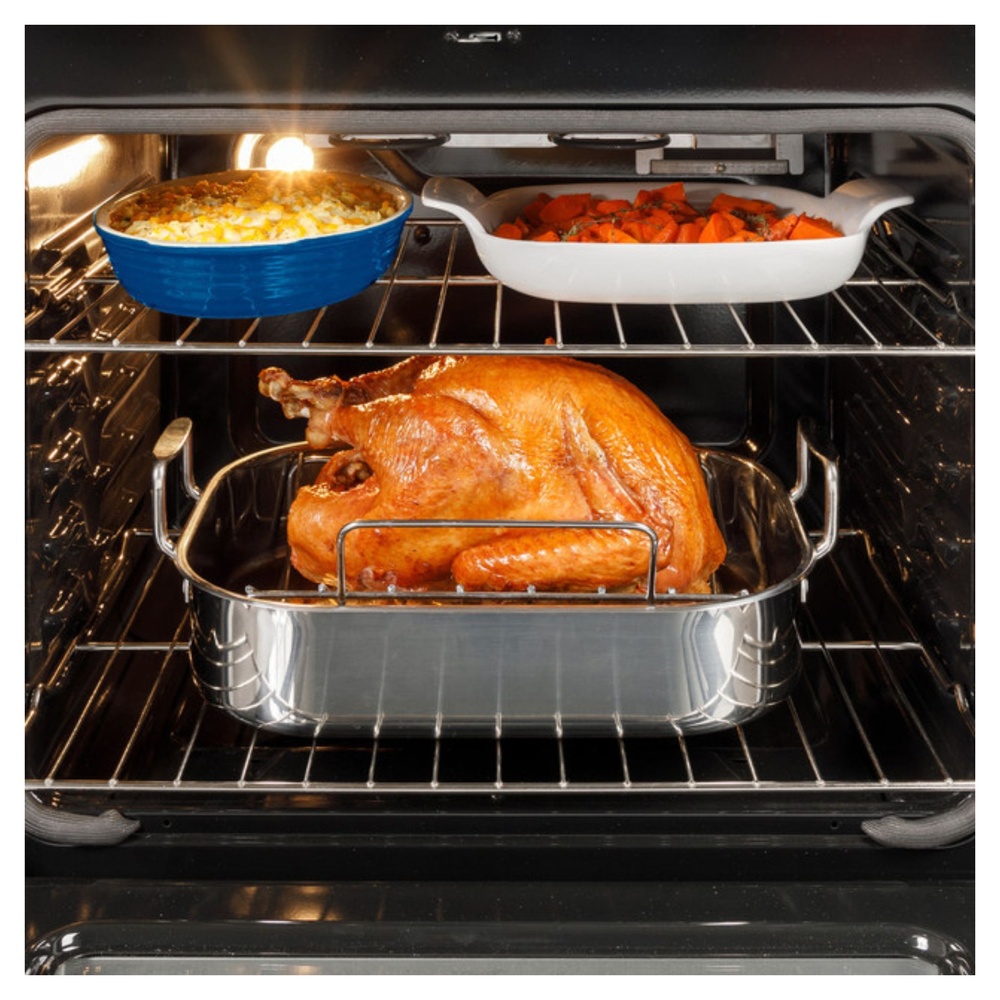 GE-GGF500PVES-Large Capacity Oven